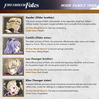 Illustration for article titled Fire Emblem Fates: Birthright vs Conquest: Which To Buy